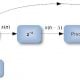 LMS predictor DSP Adaptive Line Enhancer (ALE) Noise Cancellation using the LMS Algorithm