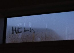 moist humidity damage
